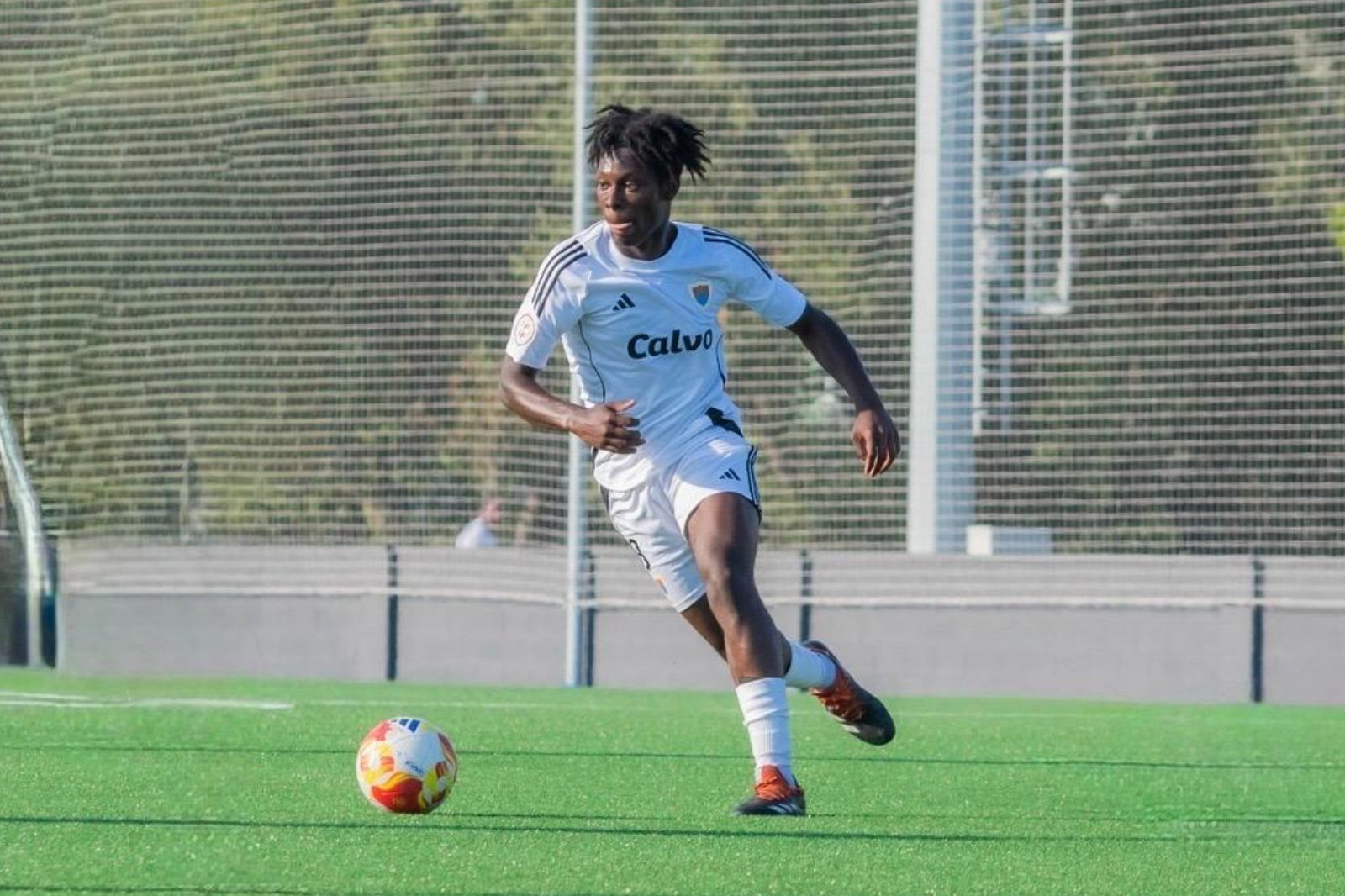 Becas deportivas en España